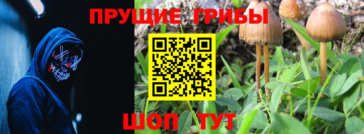 Галлюциногенные грибы MAGIC MUSHROOMS Северск