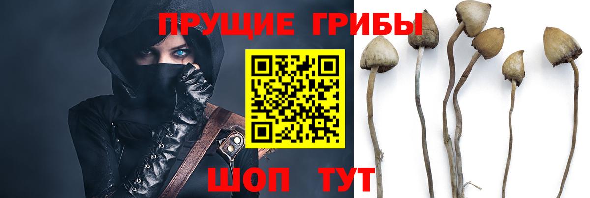 Псилоцибиновые грибы Cubensis  Галлюциногенные грибы Magic Shrooms  Вход с VPN  Северск 